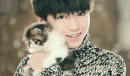 王俊凯失眠爆料视频下载,揭秘明星生活背后的辛酸