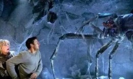 蜘蛛迷宫电影在线观看,惊悚揭秘，在线观影体验